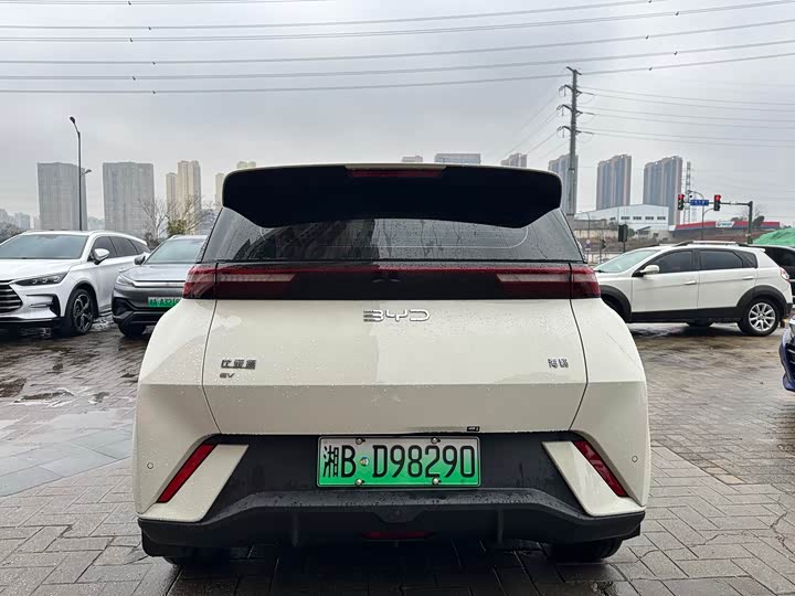 Фото 6 - BYD Seagull