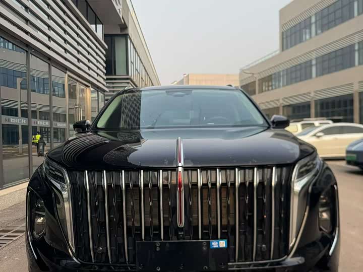 Фото 2 - Hongqi HS7 Hybrid