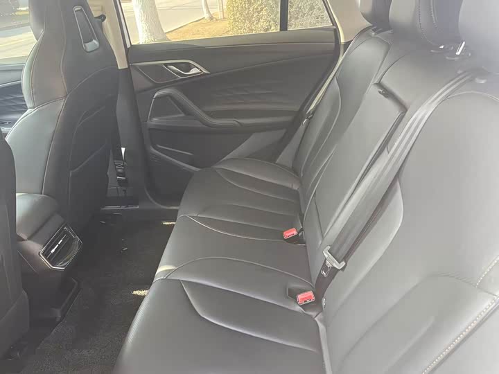 Фото 6 - Roewe RX5