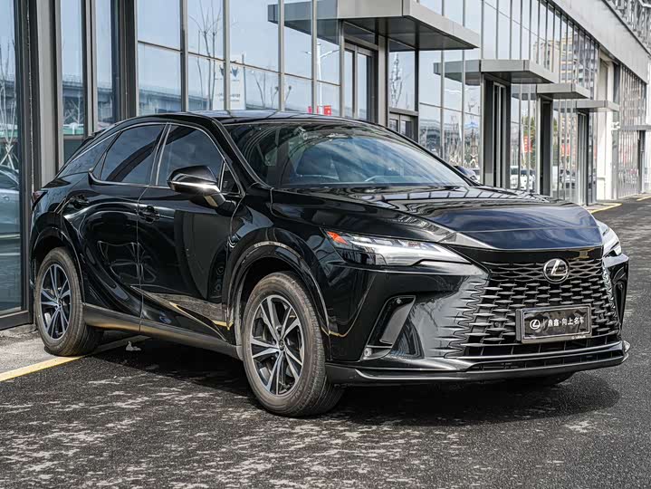 Фото 3 - Lexus RX