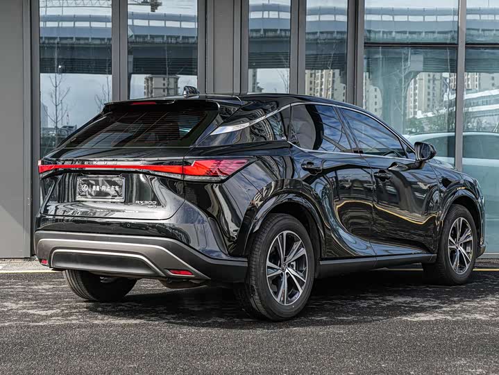 Фото 4 - Lexus RX