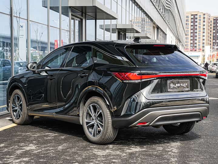 Фото 6 - Lexus RX