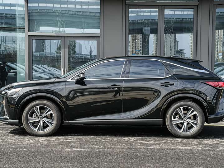 Фото 7 - Lexus RX