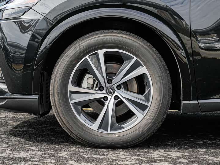 Фото 8 - Lexus RX