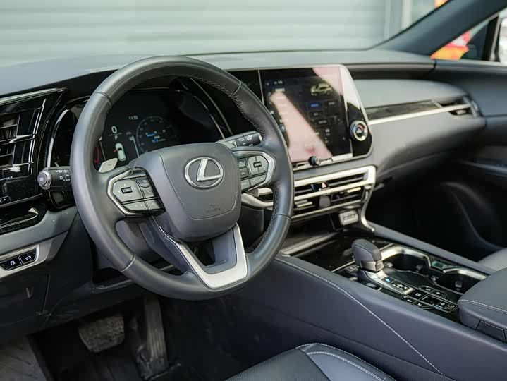 Фото 9 - Lexus RX