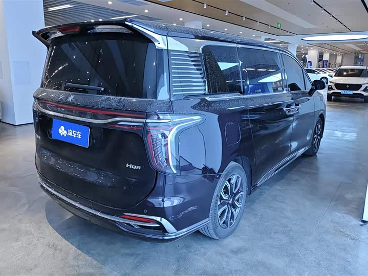 Фото 3 - Hongqi HQ9