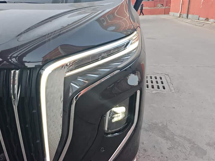 Фото 5 - Hongqi HQ9