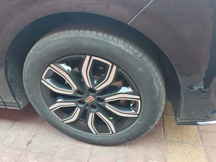 Фото 6 - Hongqi HQ9