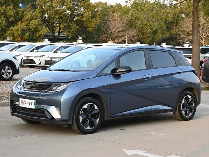 Фото 1 - BYD Dolphin