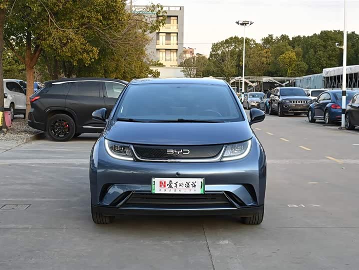 Фото 2 - BYD Dolphin