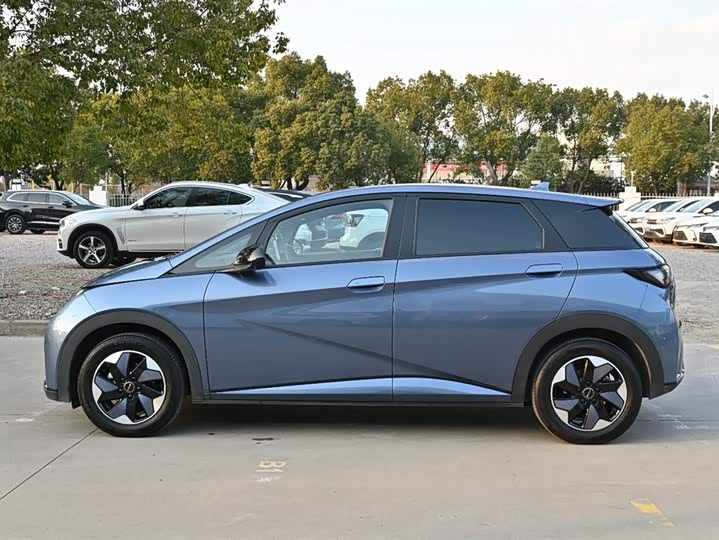 Фото 3 - BYD Dolphin