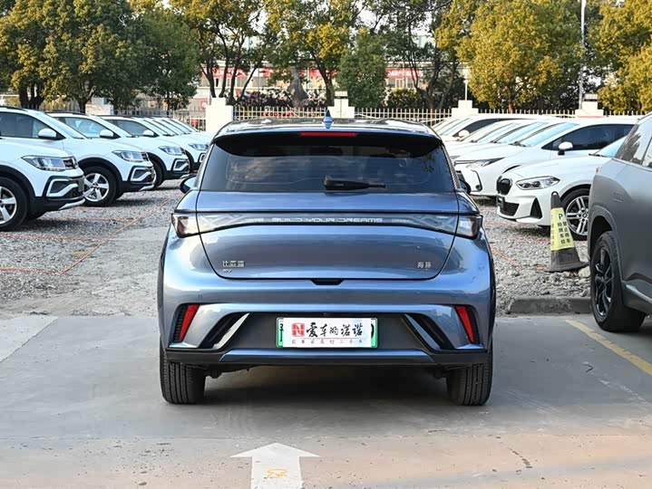 Фото 5 - BYD Dolphin