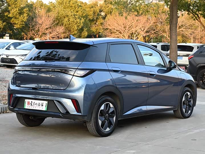 Фото 6 - BYD Dolphin