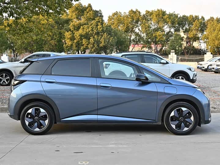 Фото 7 - BYD Dolphin