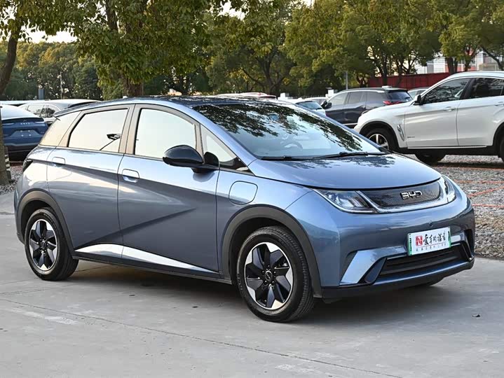 Фото 8 - BYD Dolphin