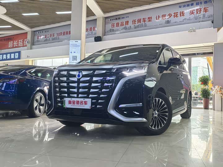 Фото 1 - Denza D9