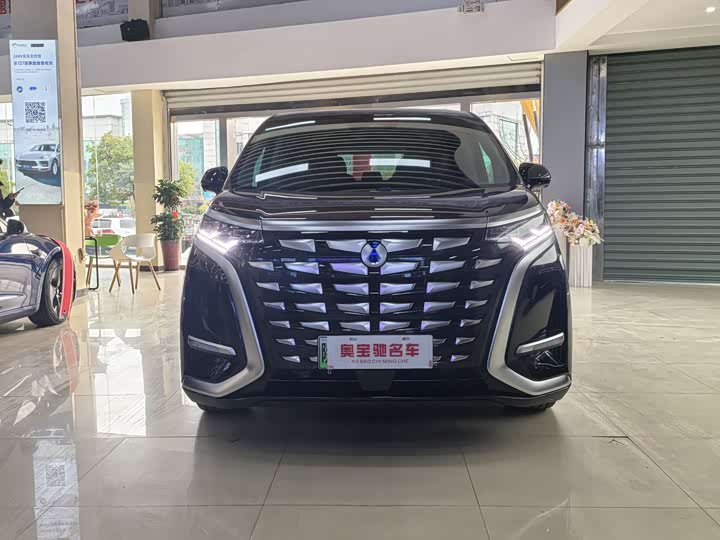 Фото 2 - Denza D9