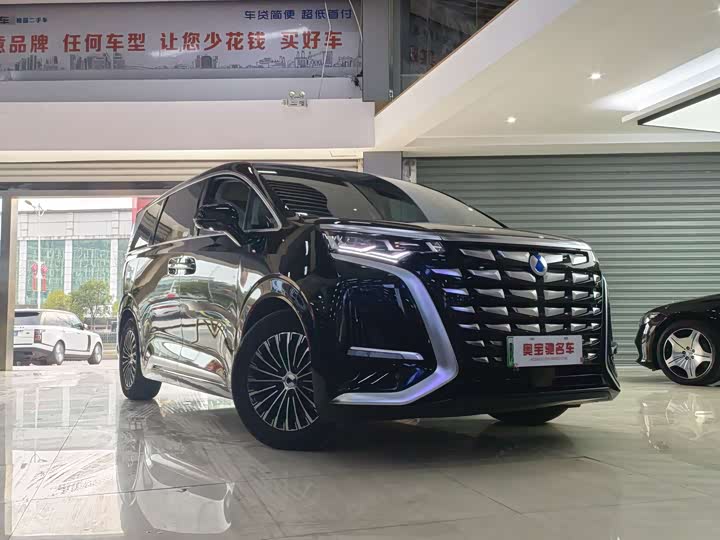 Фото 3 - Denza D9