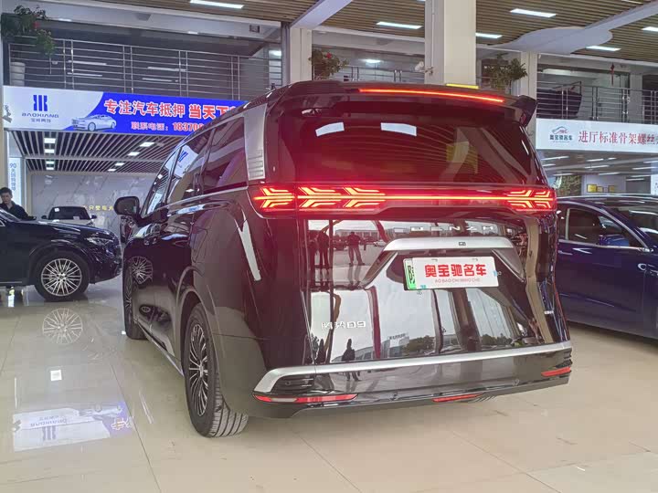 Фото 6 - Denza D9