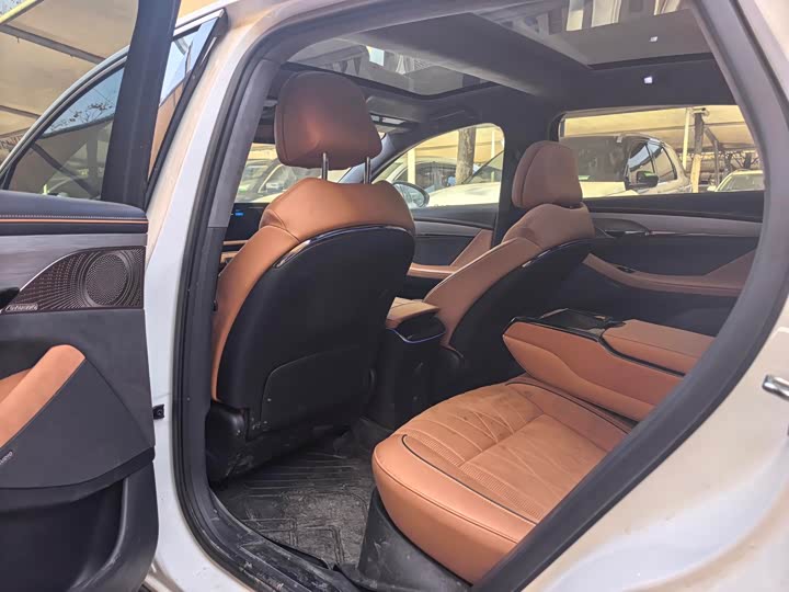 Фото 8 - Voyah Passion