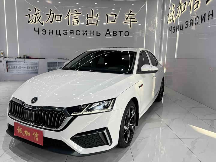 Фото 1 - Skoda Octavia Pro