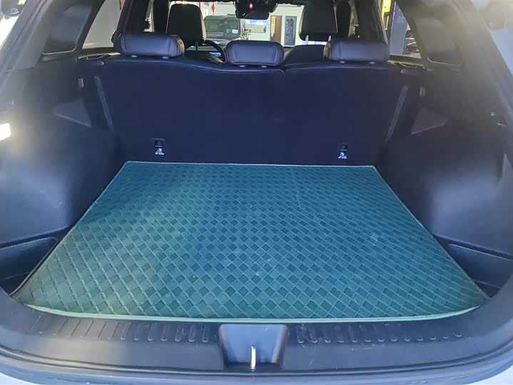 Фото 4 - Haval F7 (Monster)