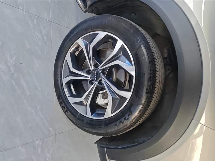 Фото 6 - Haval F7 (Monster)