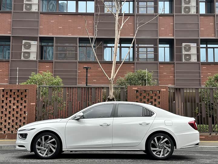 Фото 5 - Hyundai Mistra