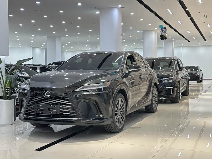 Фото 1 - Lexus RX