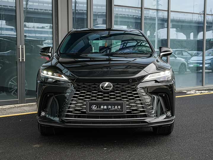 Фото 2 - Lexus RX