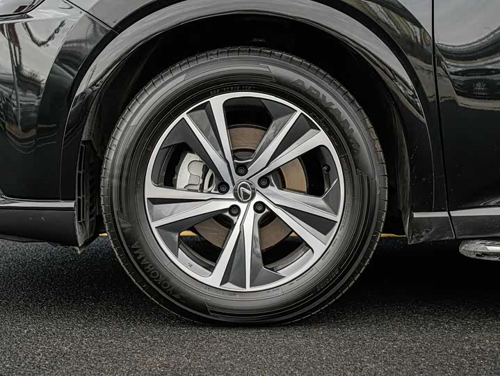 Фото 8 - Lexus RX