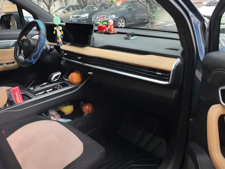 Фото 8 - Geely Okavango L