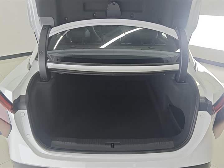 Фото 4 - Hongqi EH7