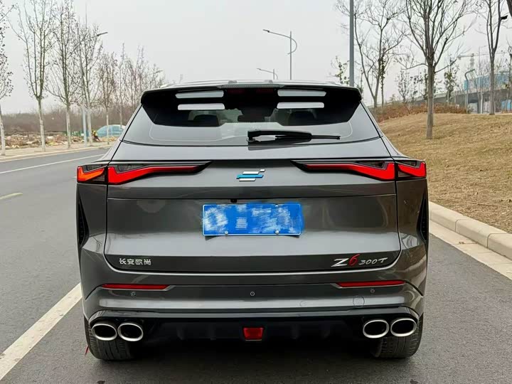 Фото 8 - Changan Oshan Z6