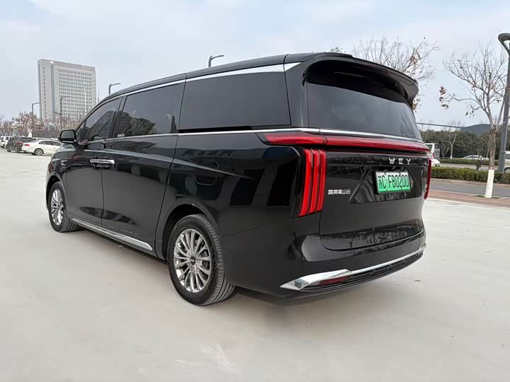 Фото 3 - Wey Gaoshan