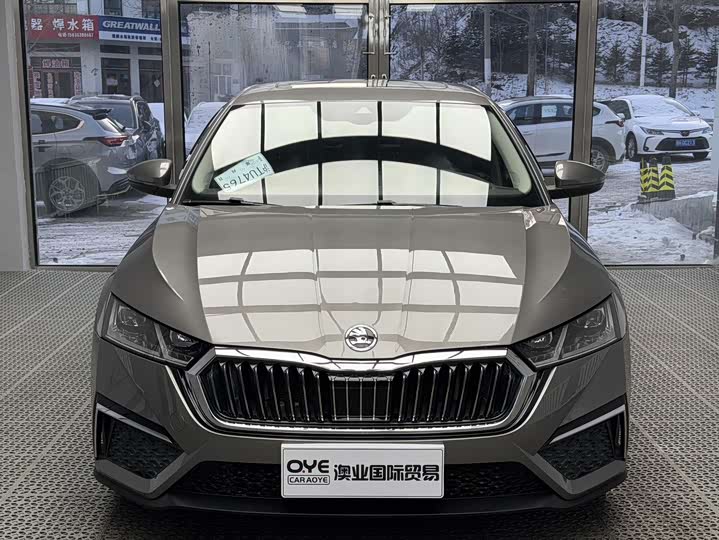 Фото 2 - Skoda Octavia Pro