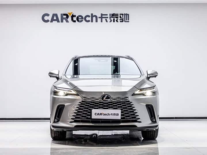 Фото 1 - Lexus RX