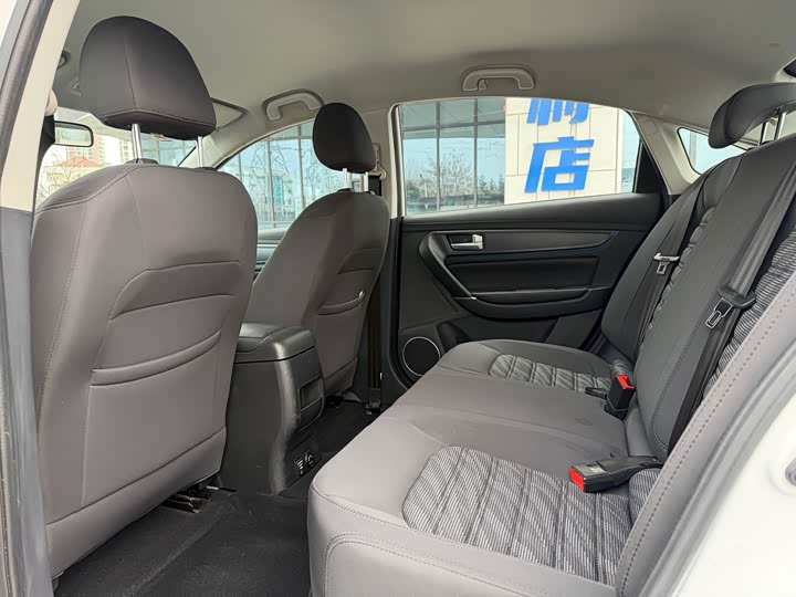 Фото 8 - Dongfeng Forthing S50 EV