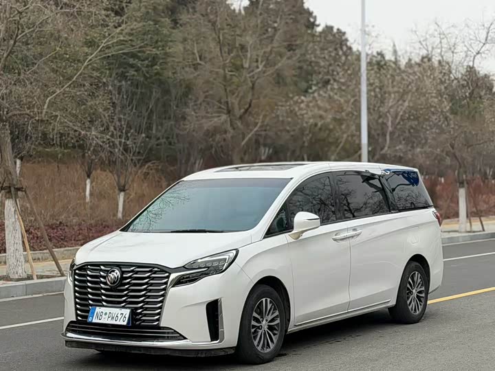 Фото 1 - Buick GL8 ES