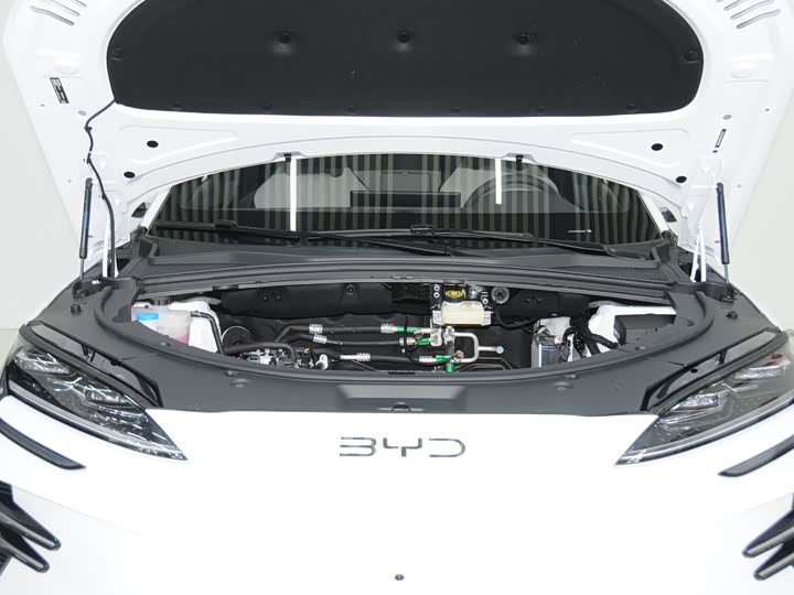 Фото 6 - BYD Song Plus Hybrid/EV