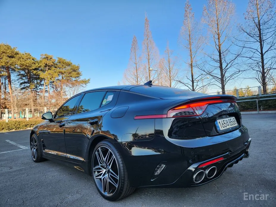 Фото 5 - Kia Stinger