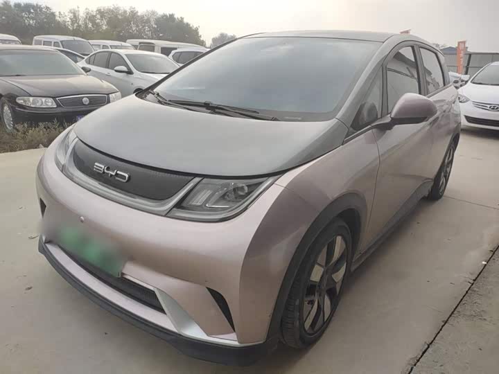 Фото 1 - BYD Dolphin