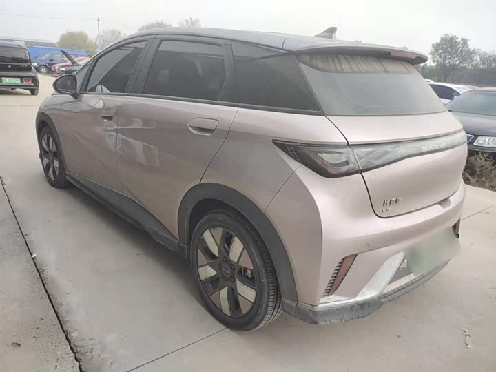 Фото 10 - BYD Dolphin