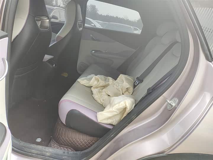 Фото 11 - BYD Dolphin