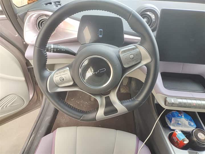 Фото 3 - BYD Dolphin