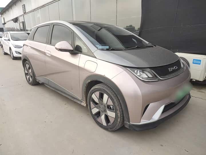 Фото 7 - BYD Dolphin