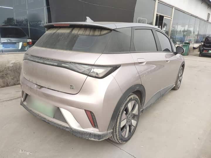 Фото 8 - BYD Dolphin