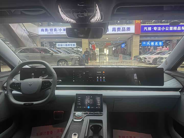 Фото 9 - Voyah Passion