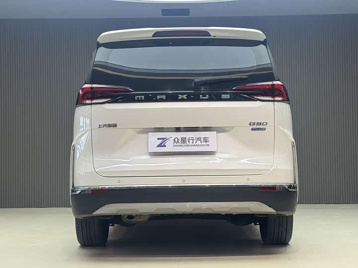 Фото 3 - Maxus G50