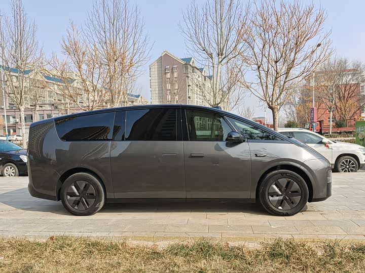 Фото 7 - LiXiang Mega